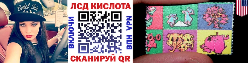 купить наркотик  Суздаль  Наркотические марки 1,8мг 