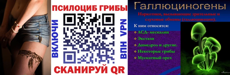 Псилоцибиновые грибы Psilocybe  закладка  Суздаль 